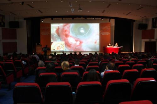 Ege University Faculty of Medicine, Department of Ophthalmology, “12. Applied Glaucoma Surgery Workshop”, 11-12 December 2010, İzmir.